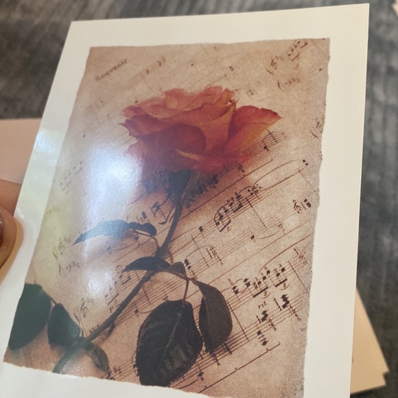 10 Glossy Rose Music Cards / Notecards - Picture 4 of 4